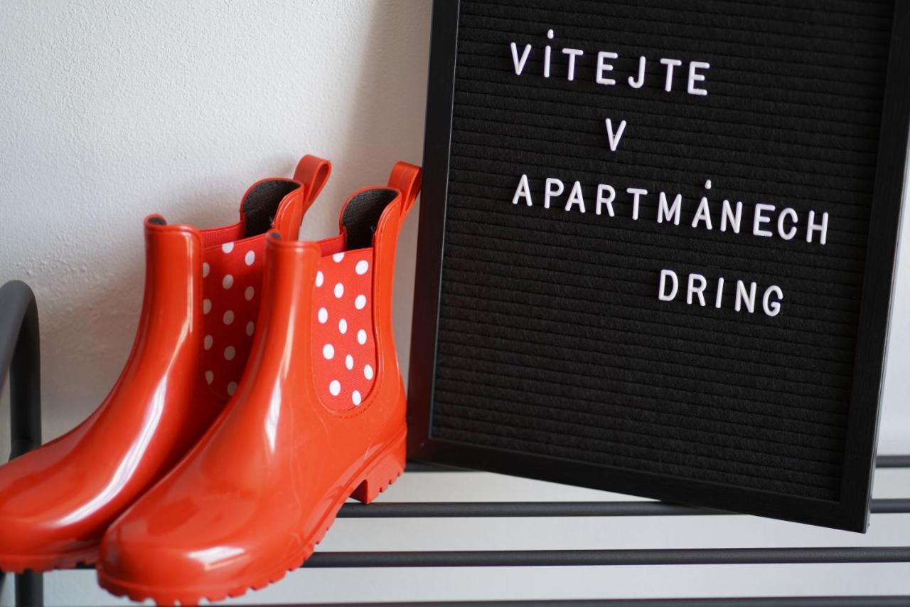 Apartmány Dring Vaclavov u Bruntalu Esterno foto